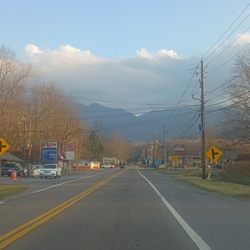 Weigel's