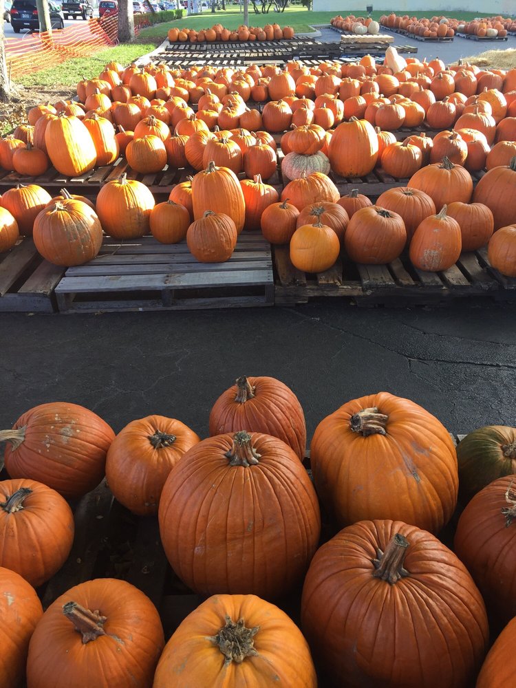 Good Shepherd United Methodist Church - childcare center in West Palm Beach, FL