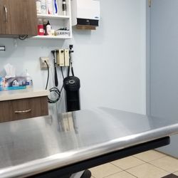 Brampton Georgetown Animal Hospital - Inside treatment room