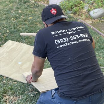 Rodent Control - Pest Control Near Me - Irvine, California Rodent Control - Pest Control Near Me - Irvine, California
