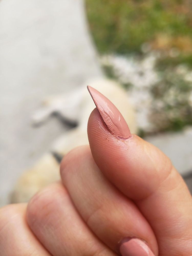 ESCAPE NAILS AND SPA 266 Photos & 61 Reviews 8011 NE 5th Ave, Miami