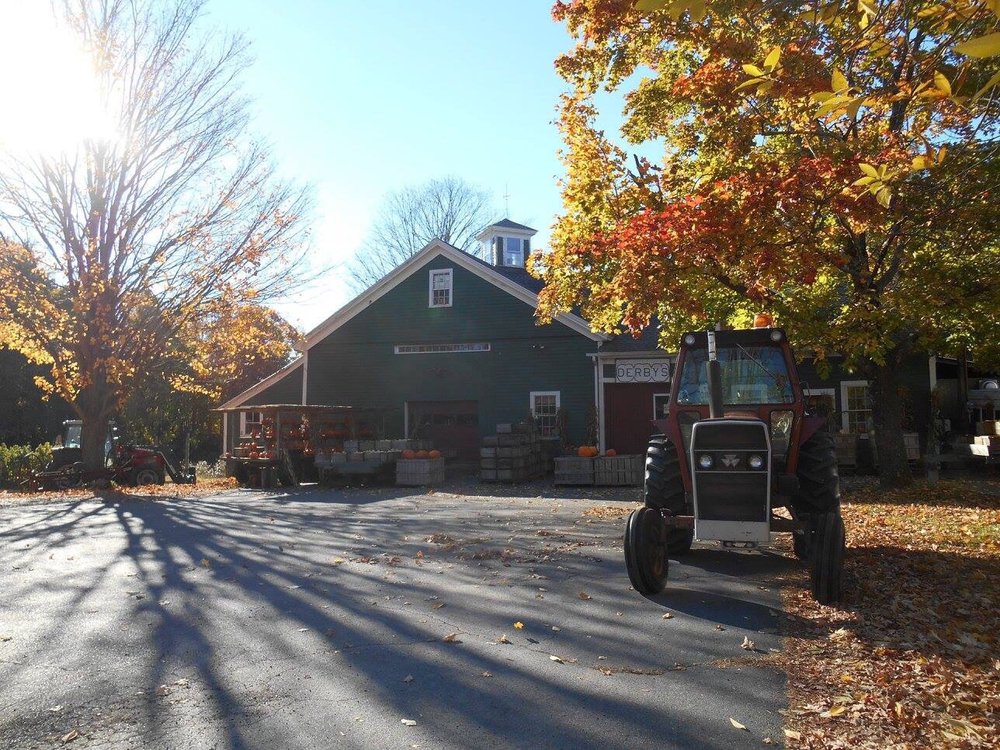 Derby Ridge Farm Logo