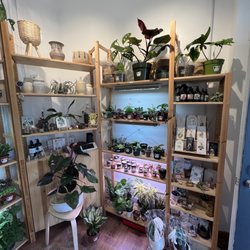 The Plant Lady - Inside