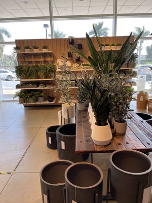 Crate & Barrel by null