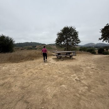 Alston Park - Dog Parks Near Me - Napa, California