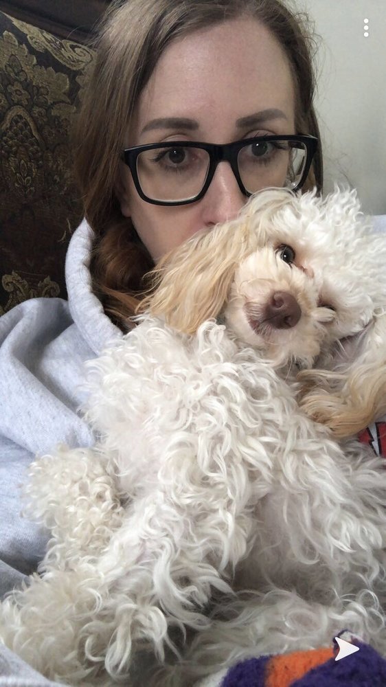 WOOF GANG BAKERY AND GROOMING MT. PLEASANT 37 Photos & 16 Reviews