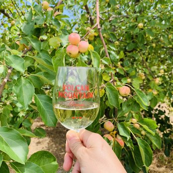 Volcan Mountain Winery - Yum! - Wineries Near Me - Julian, California Volcan Mountain Winery - Yum! - Wineries Near Me - Julian, California