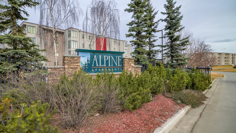 ALPINE APARTMENT Updated August 2024 16 Photos & 24 Reviews 5215