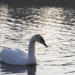 Seepark
