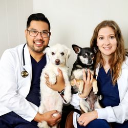 Mariposa Veterinary Hospital - Dr. Alan Poon and Dr. Elyse Hauer are veterinarians that provide care for your pets