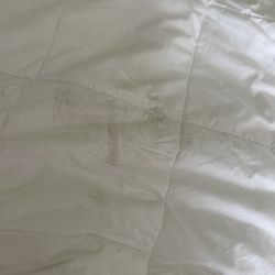 Quality Inn Elizabeth City Near University - Dirty duvet