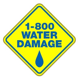 1-800 Water Damage