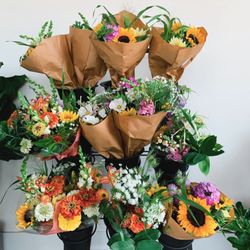 Rooted Plant - Fresh cut flower bouquet from Little Town Gardens