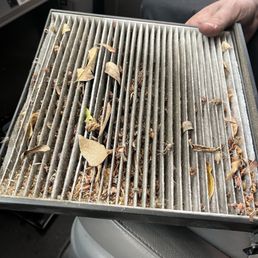 Cabin filter! Cabin filter!
