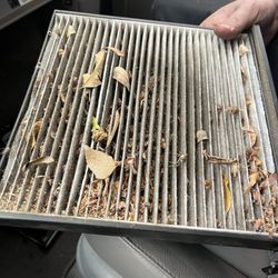 Oil Changers - Cabin filter!