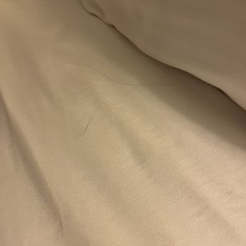 Blue Sail Inn - Hair's and black spots & coffee pot not cleaned:( - Hotels Near Me - Morro Bay, California