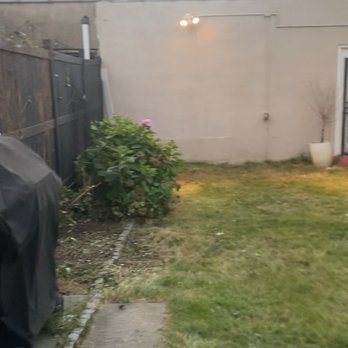 Jungle Tree Landscaping - After 3 (it wasn't all ivy) - Lawn Services Near Me