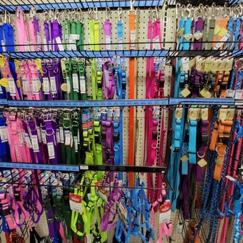 Pets Plus - Pet Stores Near Me - San Juan Capistrano, California Pets Plus - Pet Stores Near Me - San Juan Capistrano, California