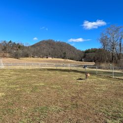 Cane River Park - Fenced-in dog area
