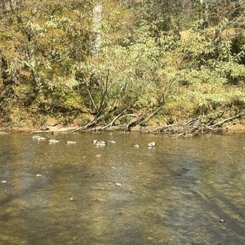 Good Vibes On the River - View - Breakfast & Brunch Near Me - Townsend, Tennessee