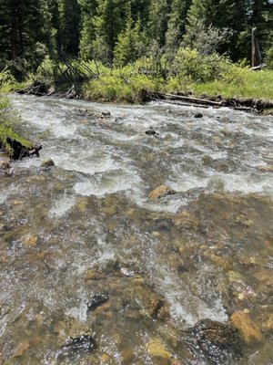 Jake's Horses Inc. by null