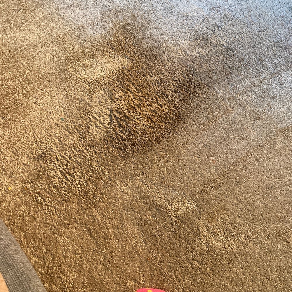 Nichols Carpet Cleaning - Carpet Cleaning Near Me - Dublin, California Nichols Carpet Cleaning - Carpet Cleaning Near Me - Dublin, California