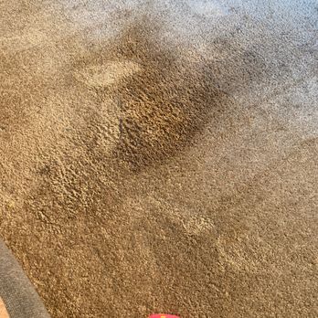 Nichols Carpet Cleaning - Carpet Cleaning Near Me - Dublin, California Nichols Carpet Cleaning - Carpet Cleaning Near Me - Dublin, California