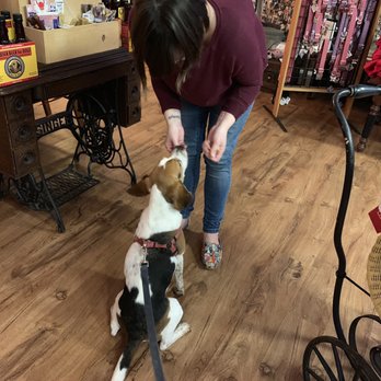 Daisy's Doghouse - Treats for customers :) - Pet Stores Near Me - Buffalo, New York Daisy's Doghouse - Treats for customers :) - Pet Stores Near Me - Buffalo, New York