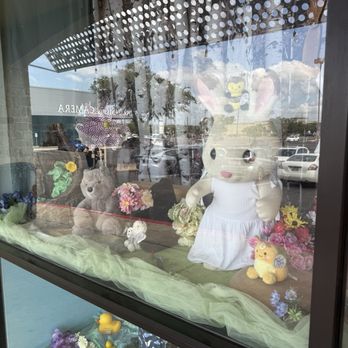 Terra Toys - Toy Stores Near Me - Austin, Texas Terra Toys - Toy Stores Near Me - Austin, Texas