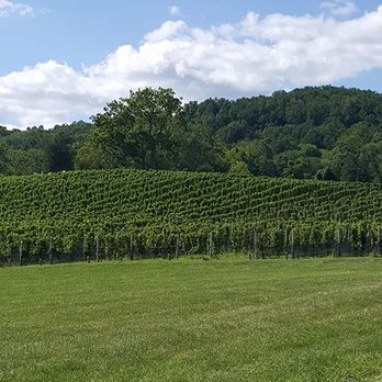 Alba Vineyard - Vineyard - Wineries Near Me - Milford, New Jersey Alba Vineyard - Vineyard - Wineries Near Me - Milford, New Jersey