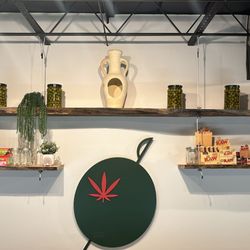 Olive Jar Cannabis