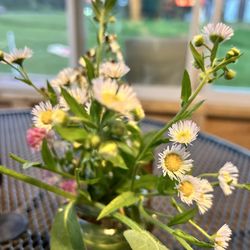 Acadia Lobster - Beautiful cut flowers on the tables