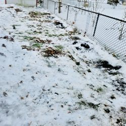 Quality Fencing
