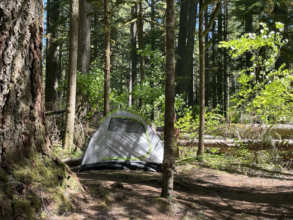 CAMP CREEK CAMPGROUND Updated September 2024 20 Photos Camp Creek