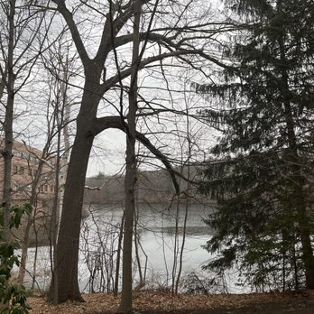 Landa MedSpa - Window view from LandaMed - Skin Care Near Me - Framingham, Massachusetts