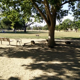 Very clean fairly large dog park. With actual grass!!! Very clean fairly large dog park. With actual grass!!!