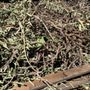 Photo of EDCO Waste & Recycling Transfer Station