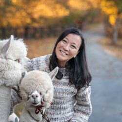 Lost Mountain Alpaca Ranch