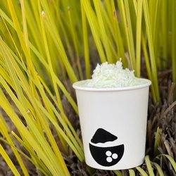 Coco Pandan