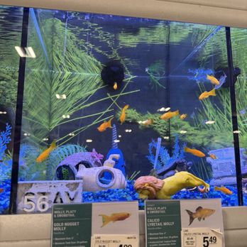 PetSmart - Pet Groomers Near Me - Hoover, Alabama