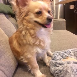 Mimi with her long flowing winter haircut.