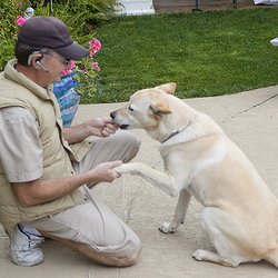 Great American Pool & Spa Service - I always have dog treat