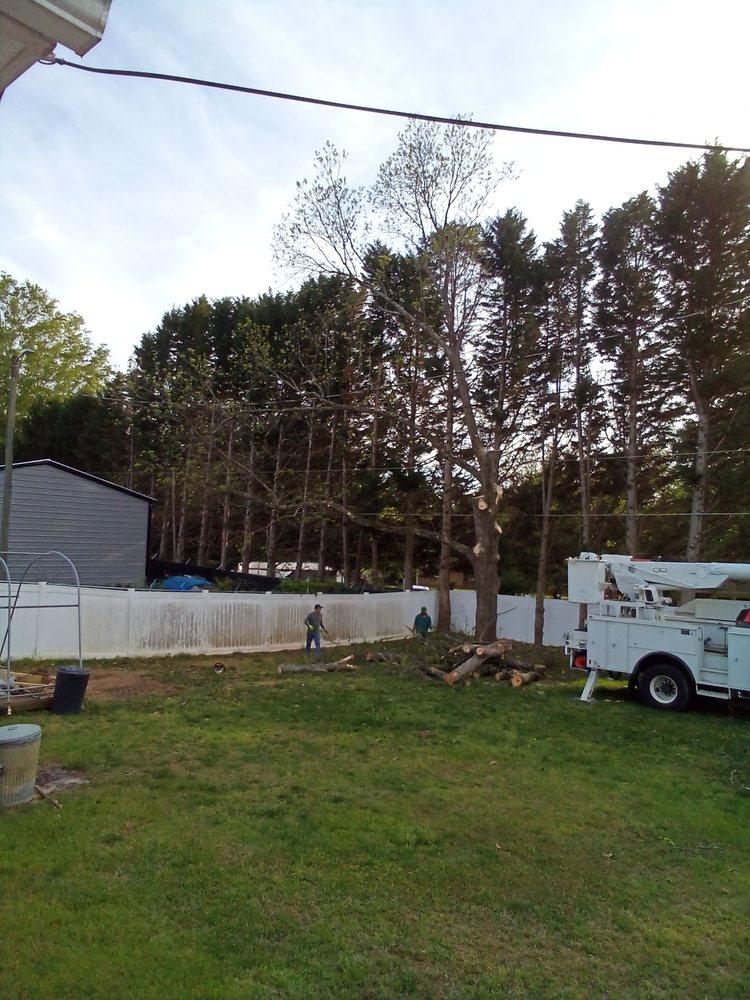 LUMBERJACK TREE SERVICE Updated October 2024 311 McGee Rd, Anderson