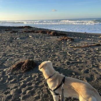 Cavalier Oceanfront Resort - Resorts Near Me - San Simeon, California