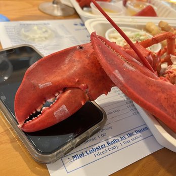 Ray's Seafood & Lobster - Delicious Lobster meal from the bar area. - Seafood Near Me - Rye, New Hampshire Ray's Seafood & Lobster - Delicious Lobster meal from the bar area. - Seafood Near Me - Rye, New Hampshire