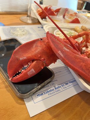 Ray's Seafood by null
