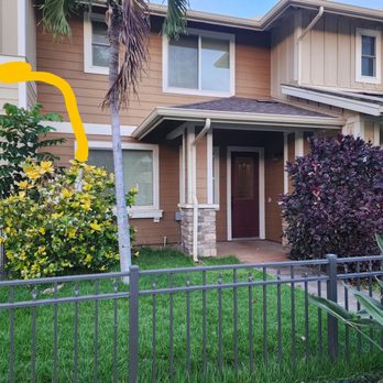 Kahua's Lawn Services - Before - Lawn Services Near Me