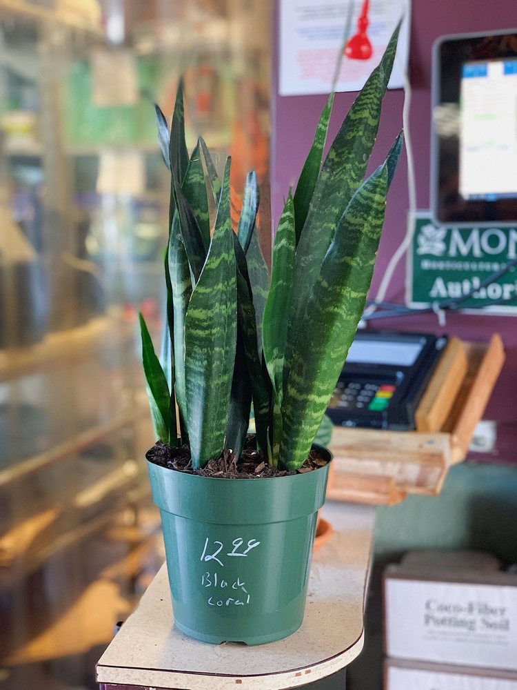 GIVERNY GARDENS Updated September 2024 57 Photos & 27 Reviews 550