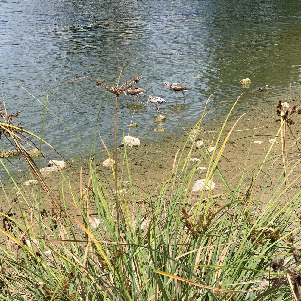 Oak Lake Park - Parks Near Me - Hollywood, Florida Oak Lake Park - Parks Near Me - Hollywood, Florida