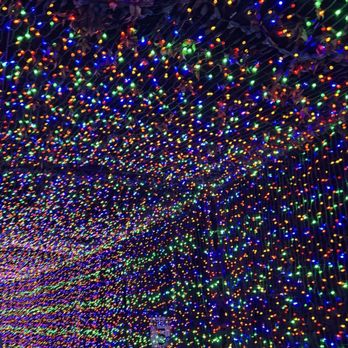 Oregon ZooLights - Zoos Near Me - Portland, Oregon Oregon ZooLights - Zoos Near Me - Portland, Oregon